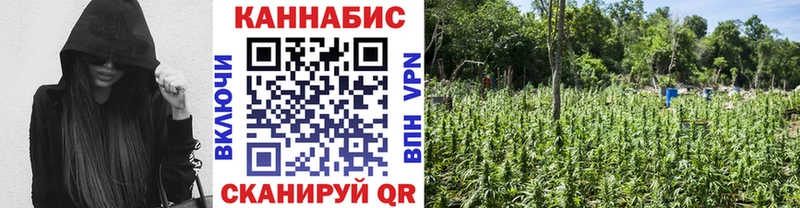 Купить наркотик аптеки Кстово Гашиш  Канабис  Псилоцибиновые грибы  Меф  Alpha PVP 