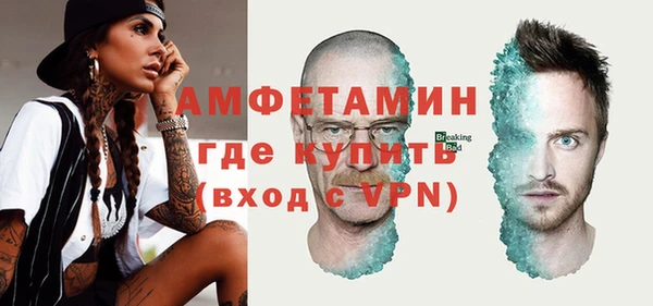 ГАЛЛЮЦИНОГЕННЫЕ ГРИБЫ Богданович