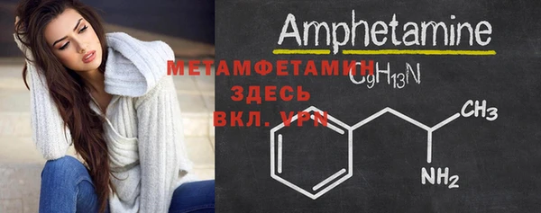 ГАЛЛЮЦИНОГЕННЫЕ ГРИБЫ Богданович