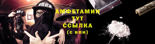 ГАЛЛЮЦИНОГЕННЫЕ ГРИБЫ Богданович