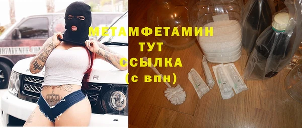 ГАЛЛЮЦИНОГЕННЫЕ ГРИБЫ Богданович