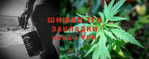 ГАЛЛЮЦИНОГЕННЫЕ ГРИБЫ Богданович