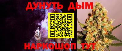 ECSTASY Камышлов