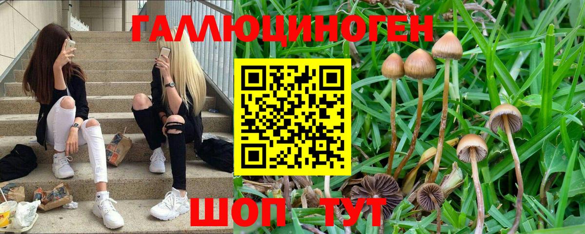 Кстово  Галлюциногенные грибы мицелий  Вход с VPN 