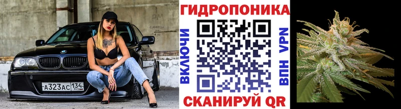 Конопля марихуана Кстово