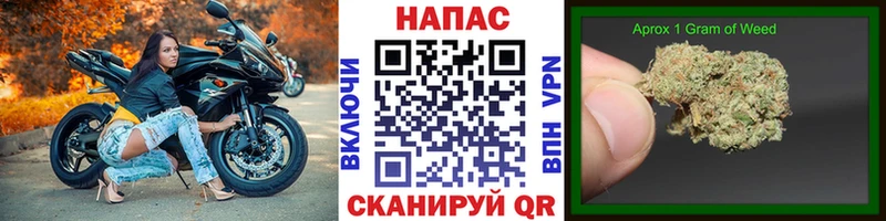 Канабис сатива  Кстово 